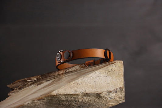 Classic Breakaway Collar - Cognac & Black