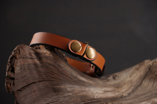 Angle of cognac leather cat collar highlighting curved shape and hardware.