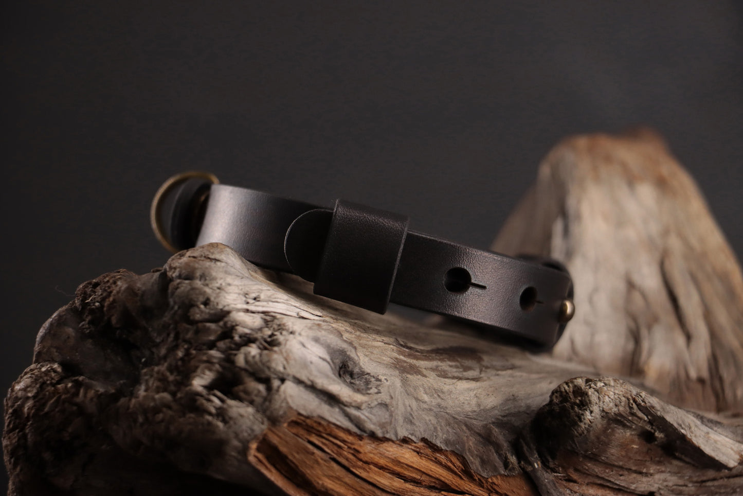Classic Breakaway Collar - Black