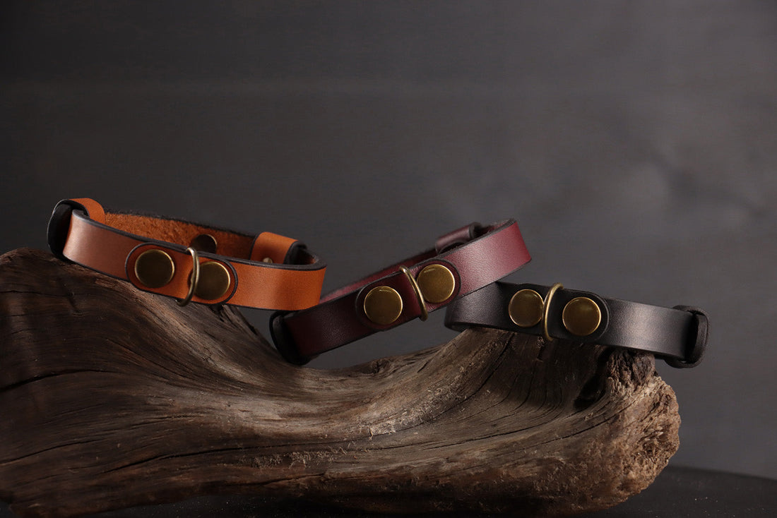 Keeping Collars Beautiful: A Simple Guide to Leather Conditioning