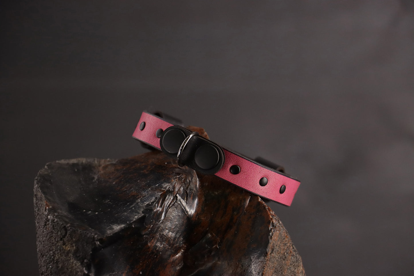 Wee Beastie Breakaway Collar - Pink & Black