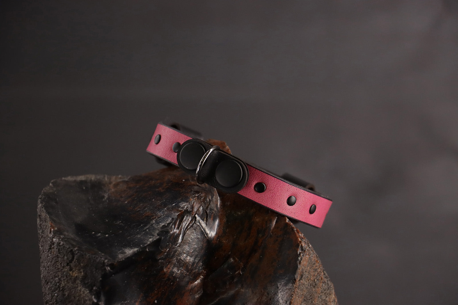 Wee Beastie Breakaway Collar - Pink & Black