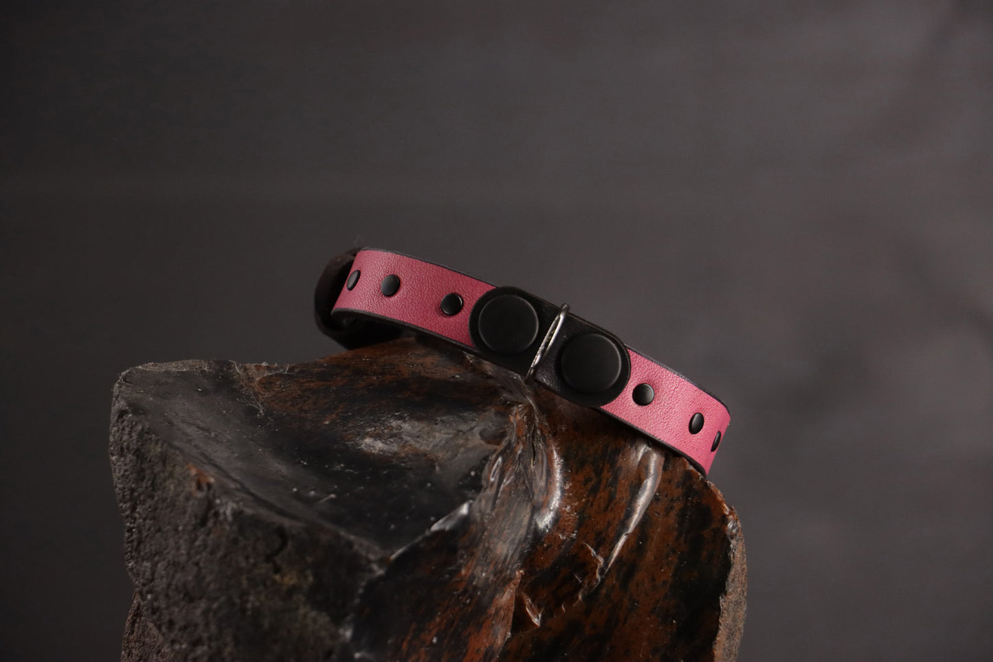 Wee Beastie Breakaway Collar - Pink & Black