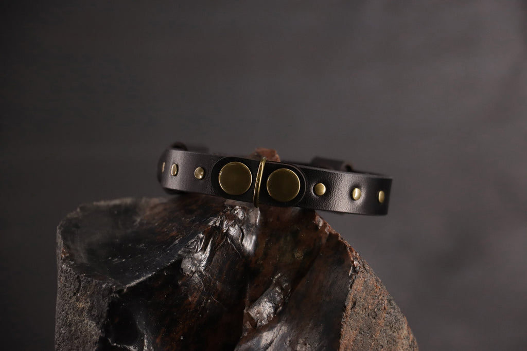 Wee Beastie Breakaway Collar - Black