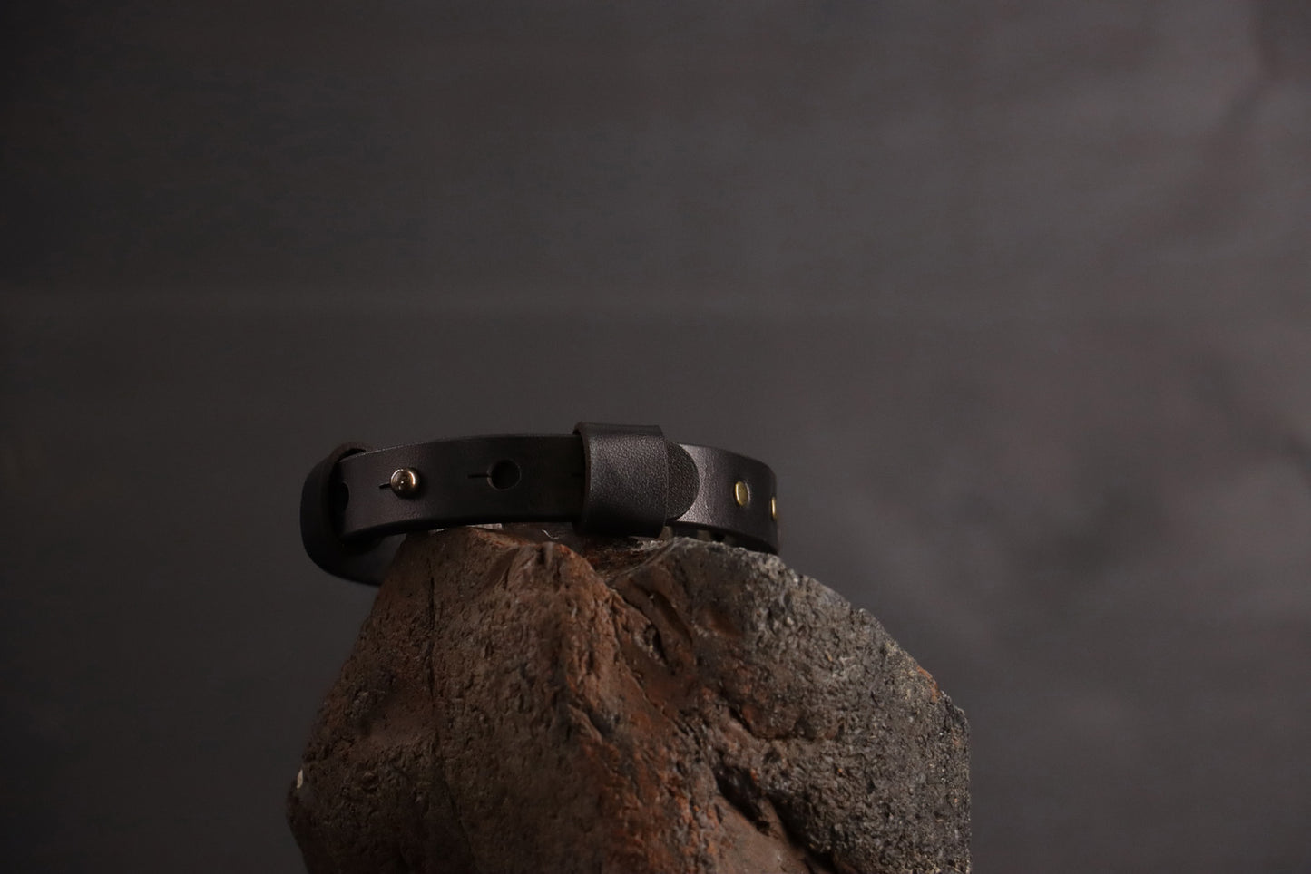 Wee Beastie Breakaway Collar - Black