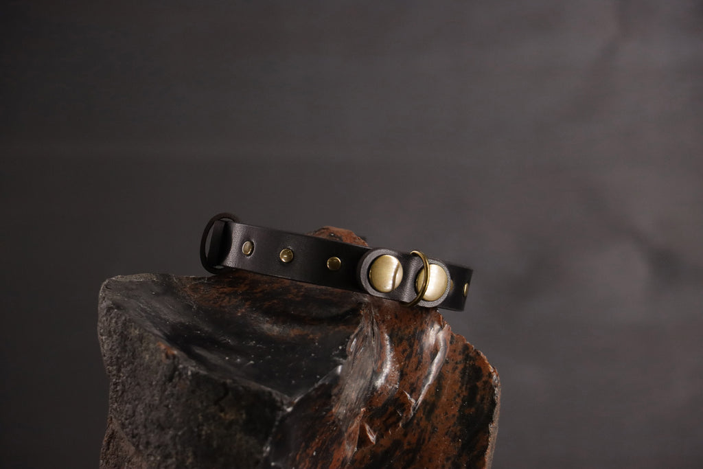 Wee Beastie Breakaway Collar - Black