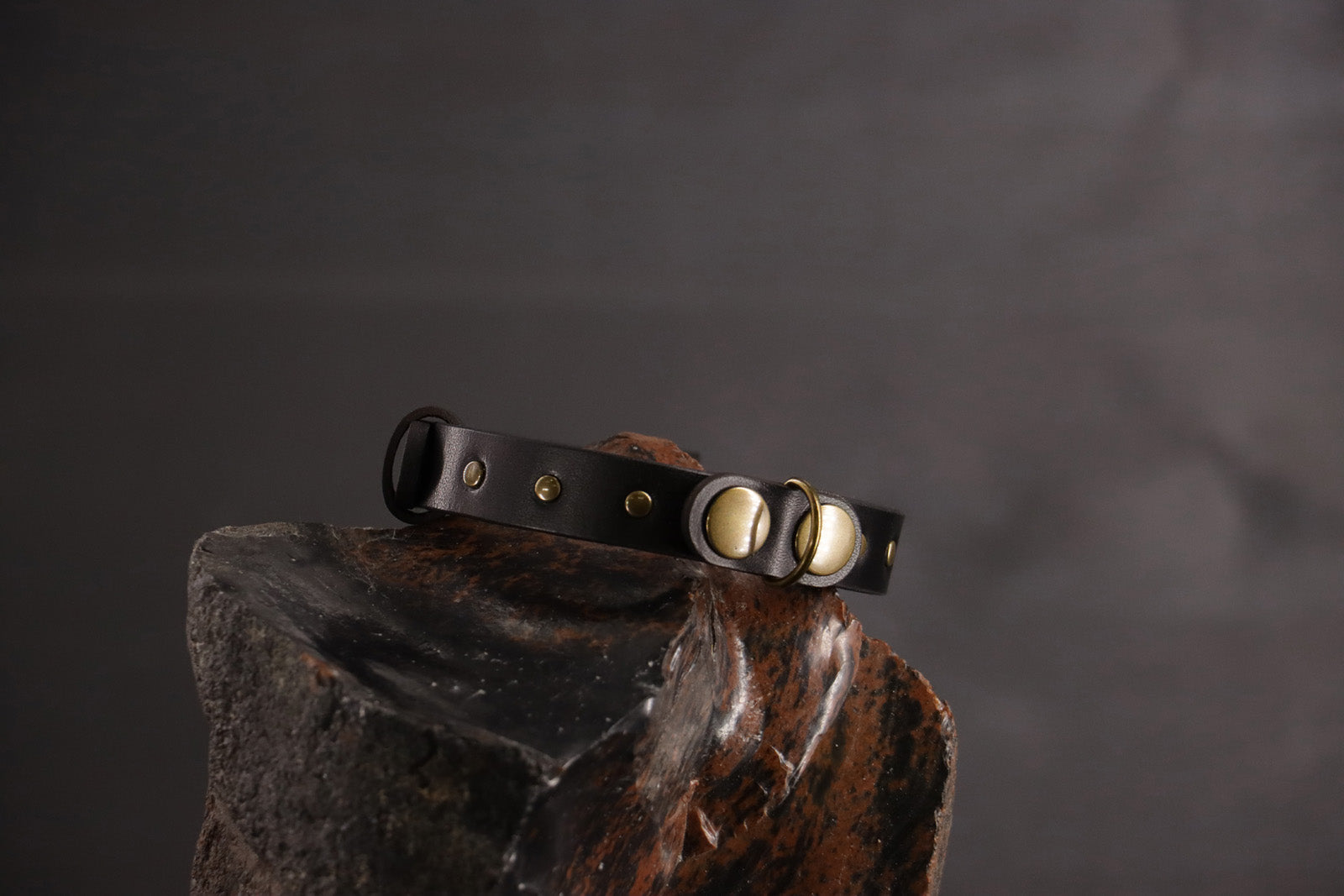 Wee Beastie Breakaway Collar - Black