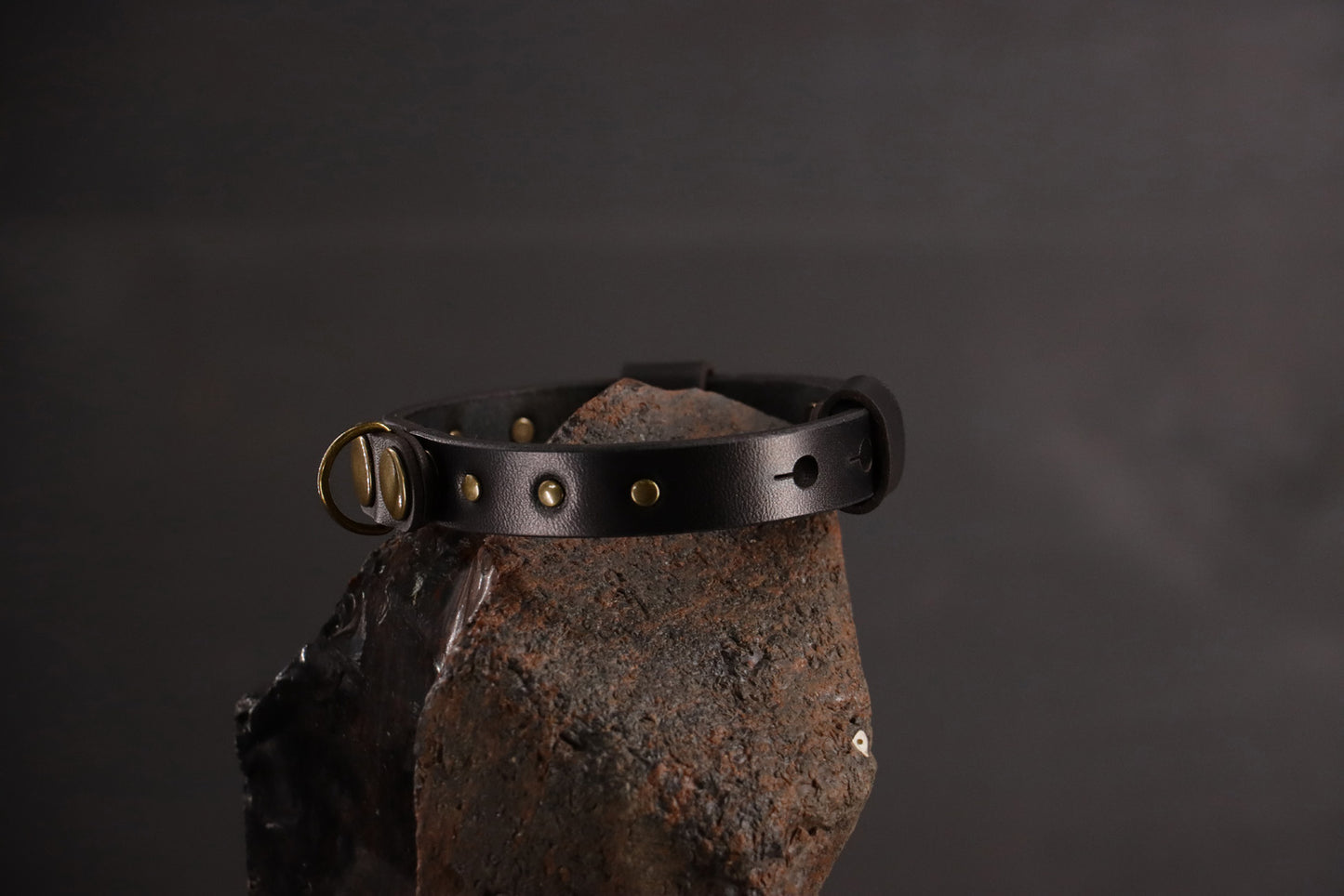 Wee Beastie Breakaway Collar - Black