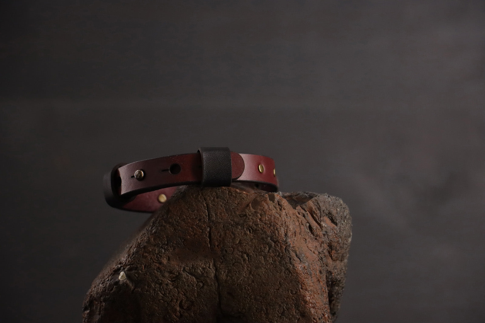 Wee Beastie Breakaway Collar - Oxblood & Black