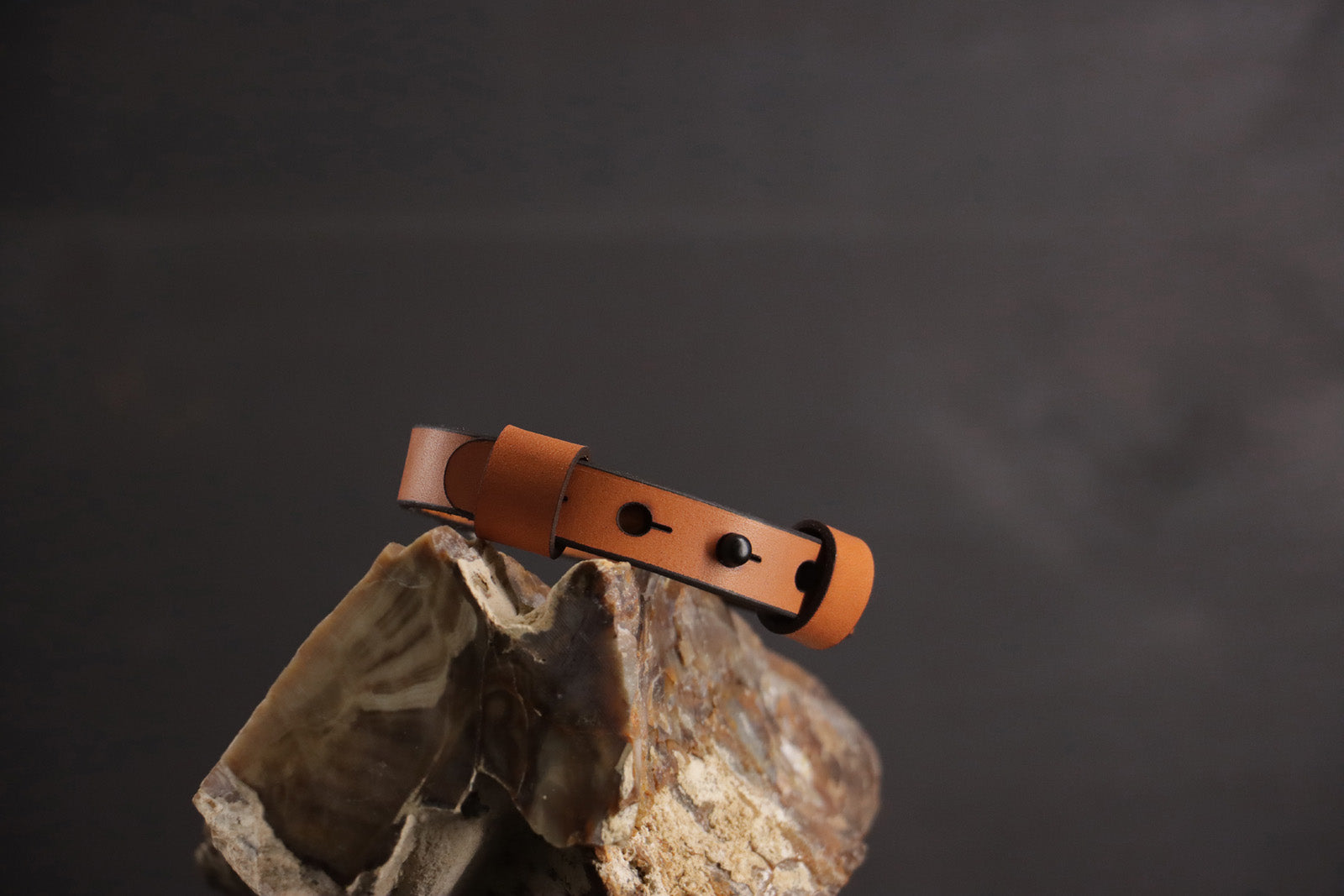Classic Breakaway Collar - Cognac & Black