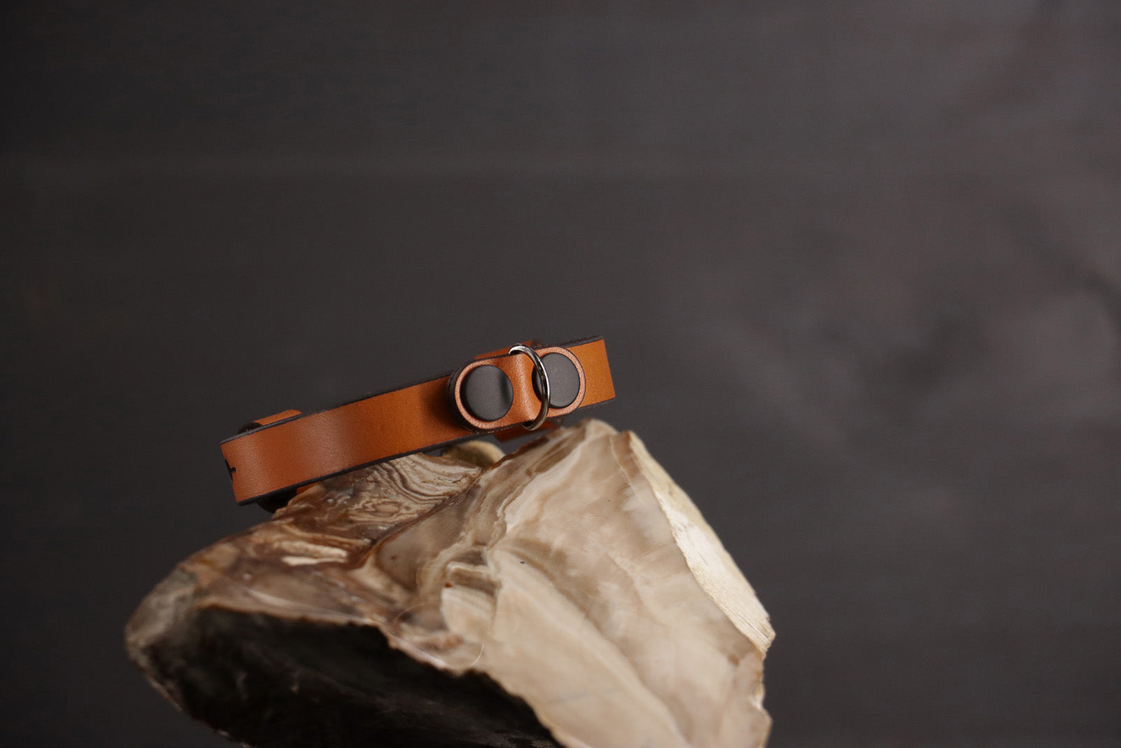 Classic Breakaway Collar - Cognac & Black