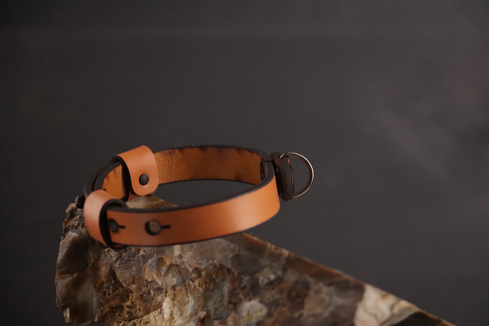 Classic Breakaway Collar - Cognac & Black