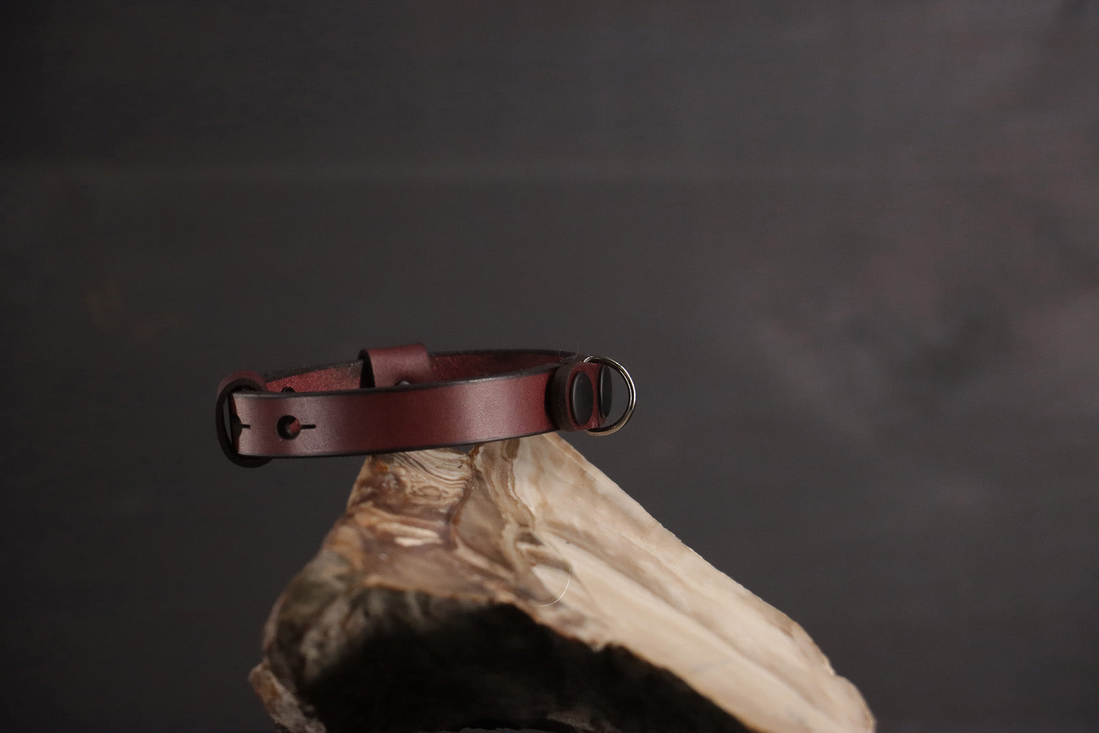 Classic Breakaway Collar - Oxblood & Black