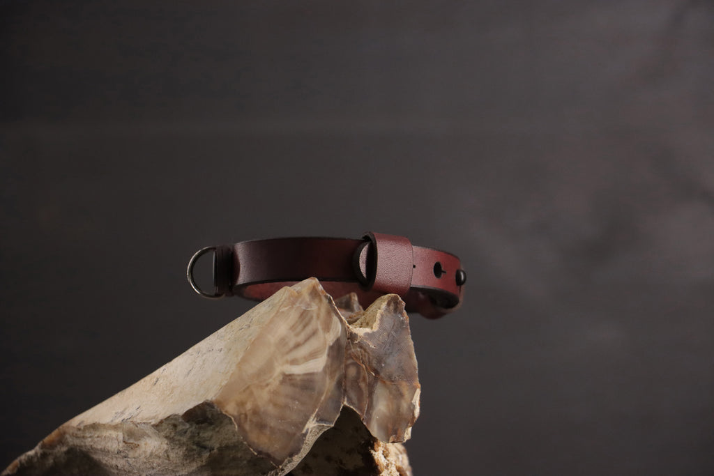 Classic Breakaway Collar - Oxblood & Black