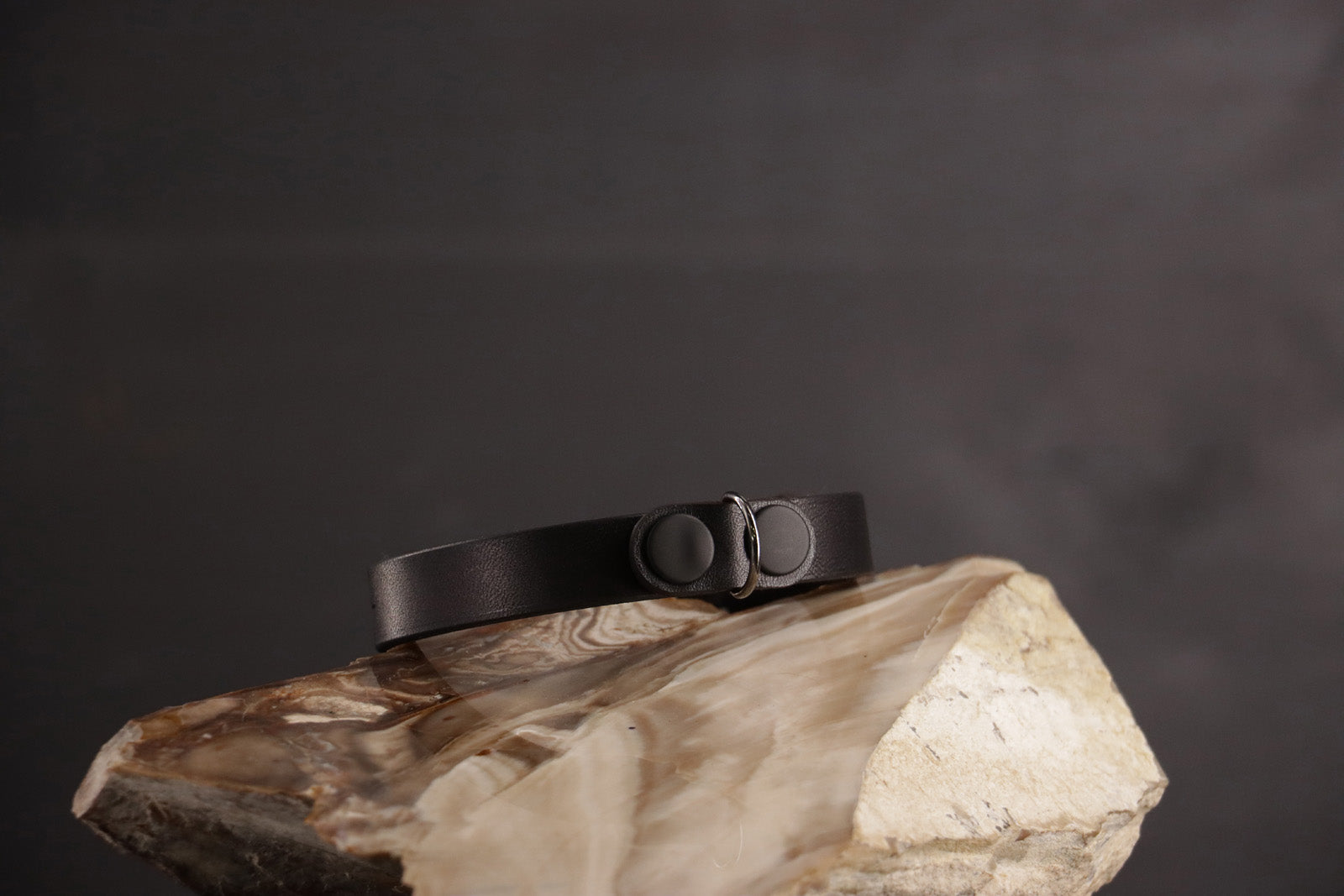 Classic Breakaway Collar - Black With Black