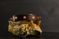 Simply Breakaway Champagne Crystal Spike Collar - Oxblood with Brown Lining & Black Stitching