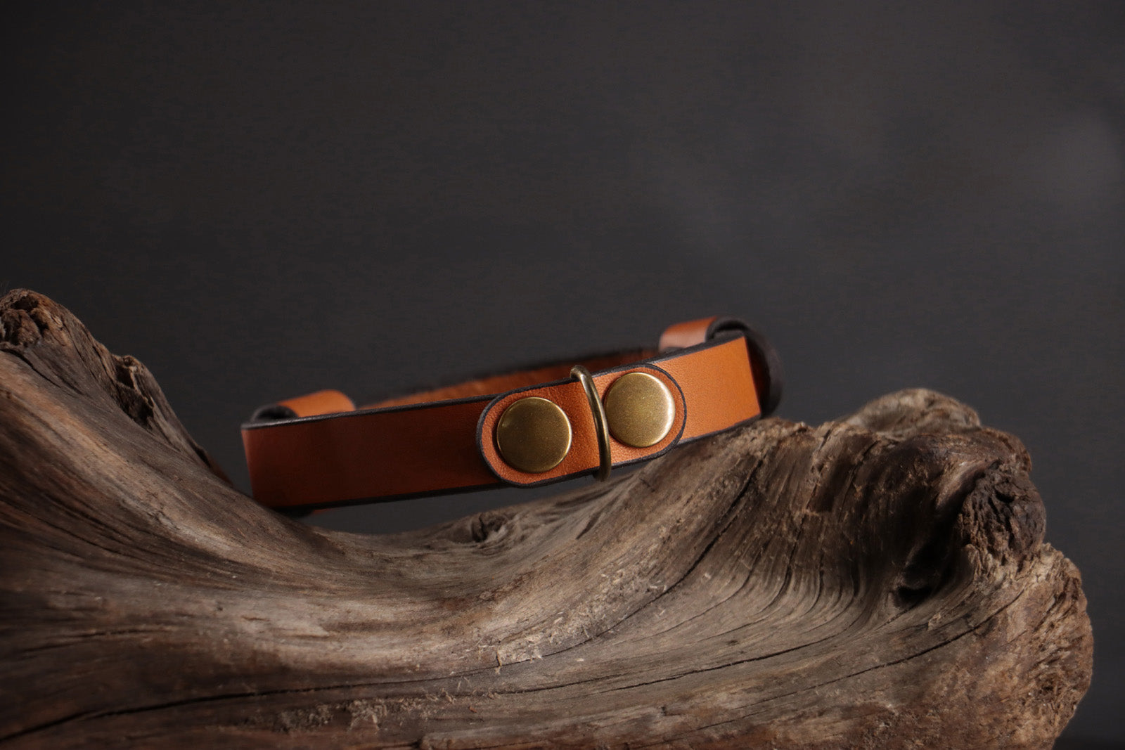 Cognac leather cat collar with antique bronze D-ring and smooth finish.