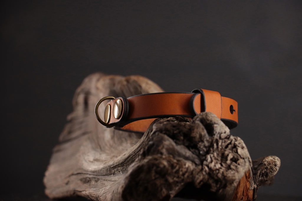 Profile of cognac leather collar showing all design elements.