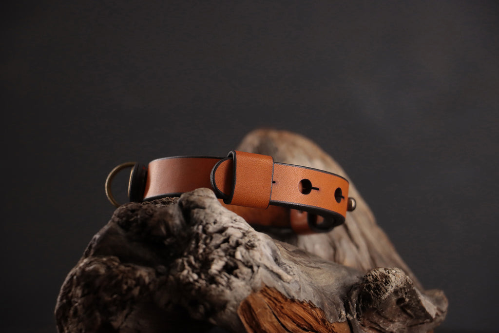 Side of cognac leather cat collar showing adjustable sizing system.