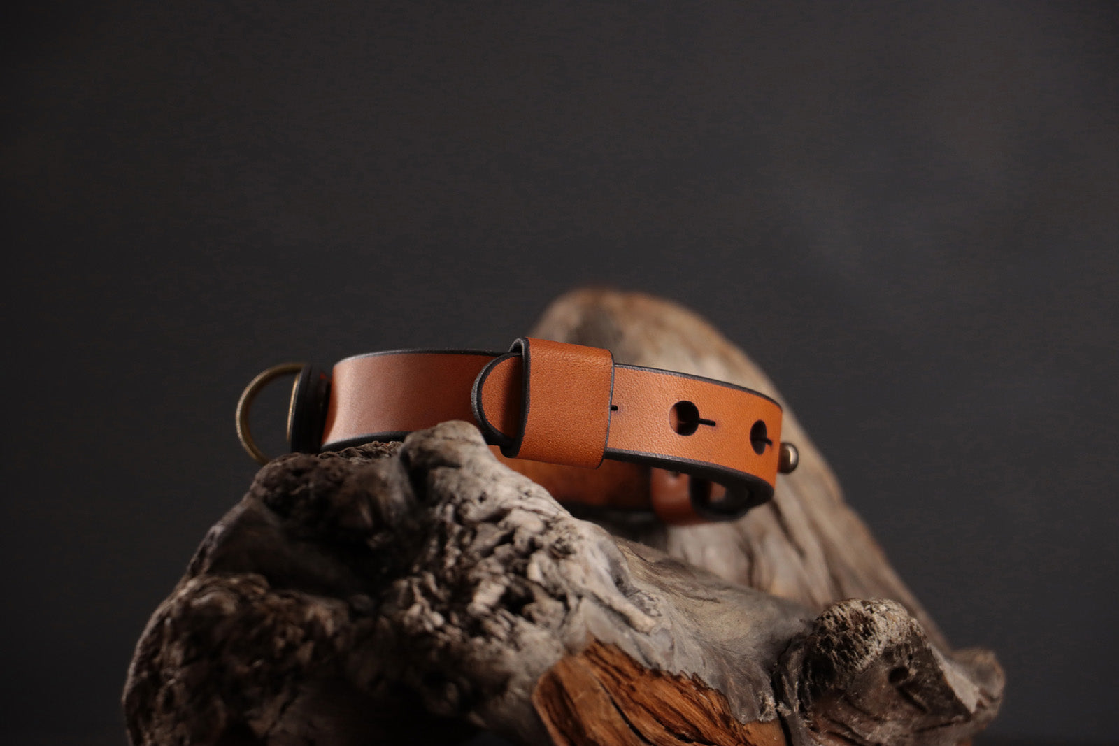 Side of cognac leather cat collar showing adjustable sizing system.