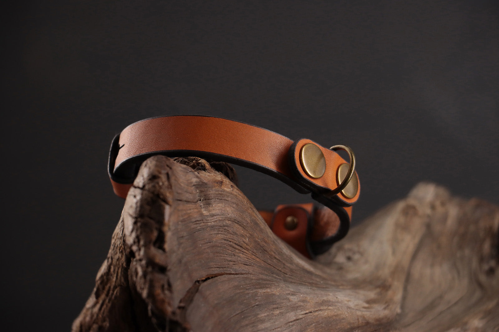 Side view of cognac leather cat collar showing D-ring and snap closure.