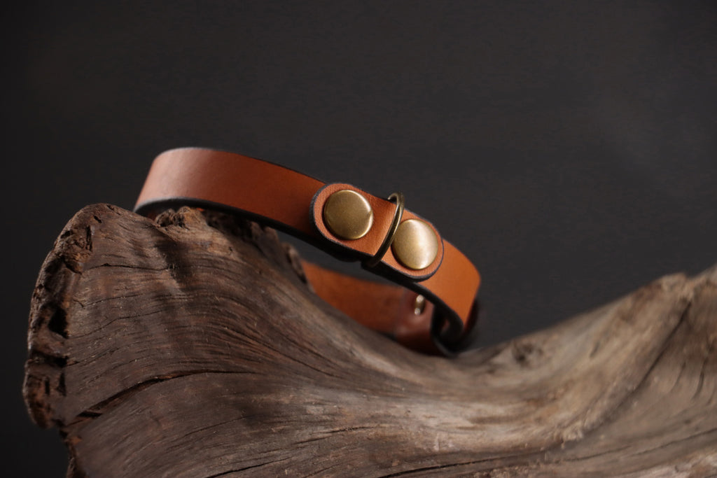 Cognac leather charm with antique bronze hardware on matching collar.
