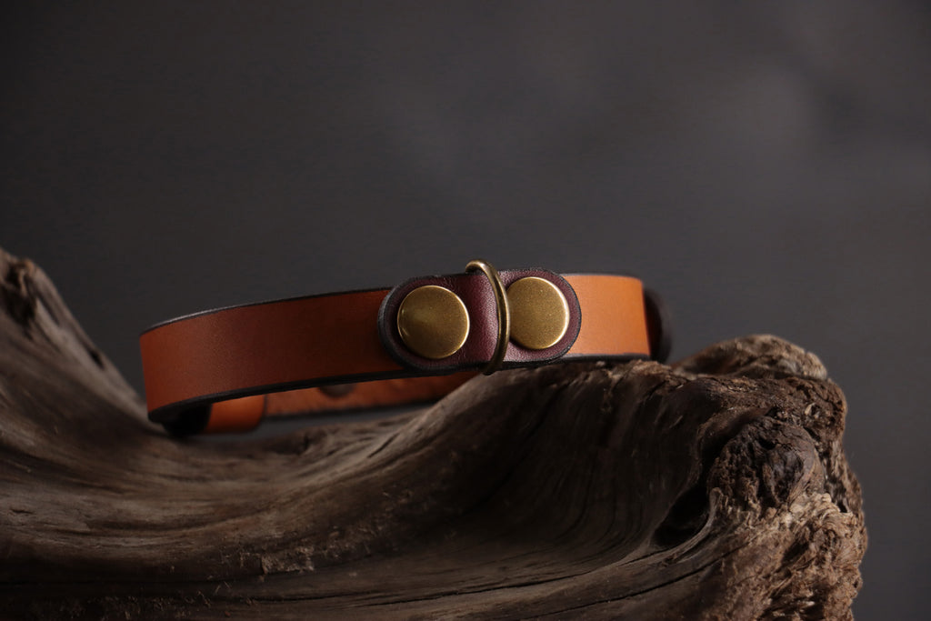 Oxblood cat ID tag charm snapped onto cognac leather collar.