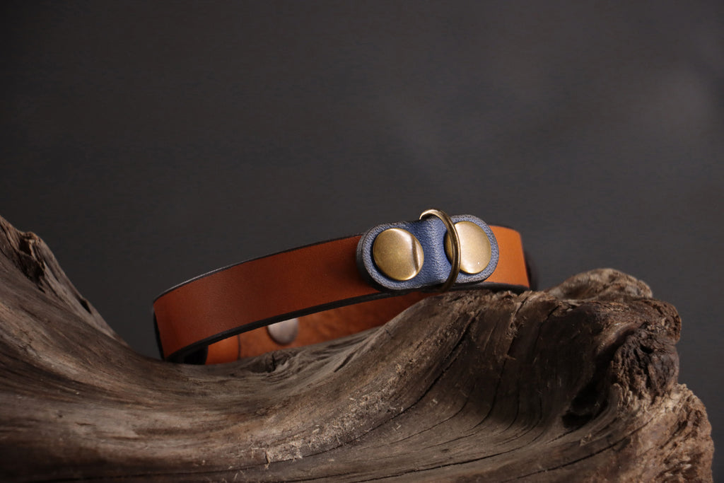 Cobalt cat ID charm with antique bronze D-ring on cognac leather collar.