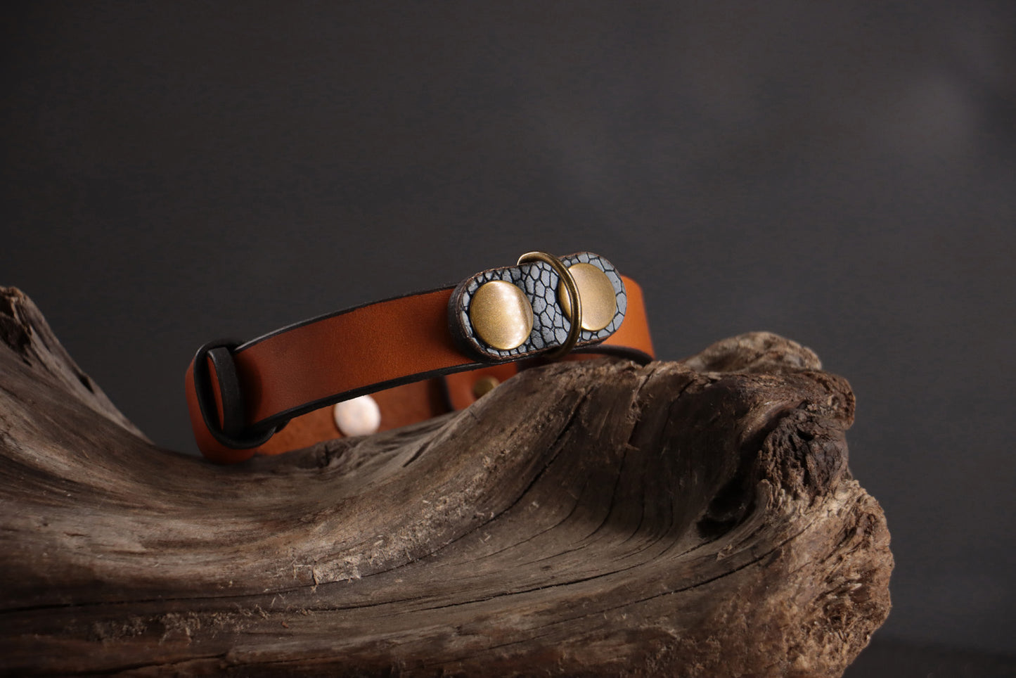 Blue ostrich leather charm with antique bronze hardware on cognac leather collar.