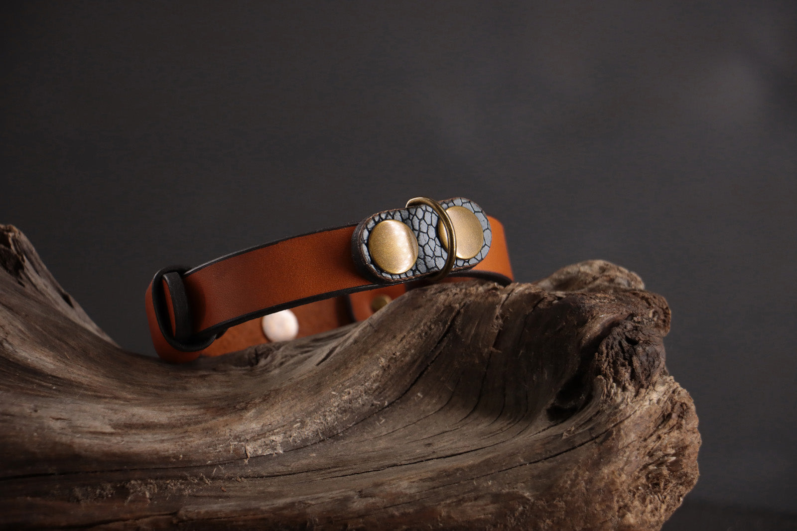 Blue ostrich leather charm with antique bronze hardware on cognac leather collar.