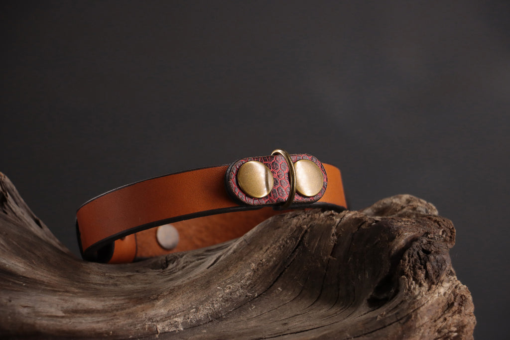 Red ostrich cat ID charm with antique bronze D-ring on cognac leather collar.