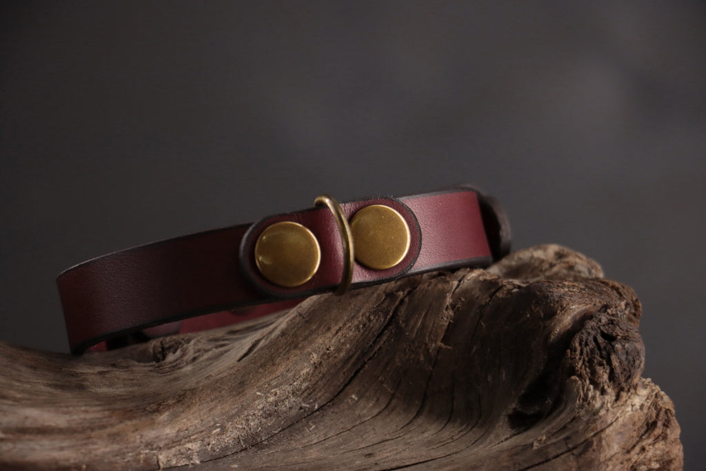 Oxblood leather ID charm with antique bronze hardware on matching leather collar.