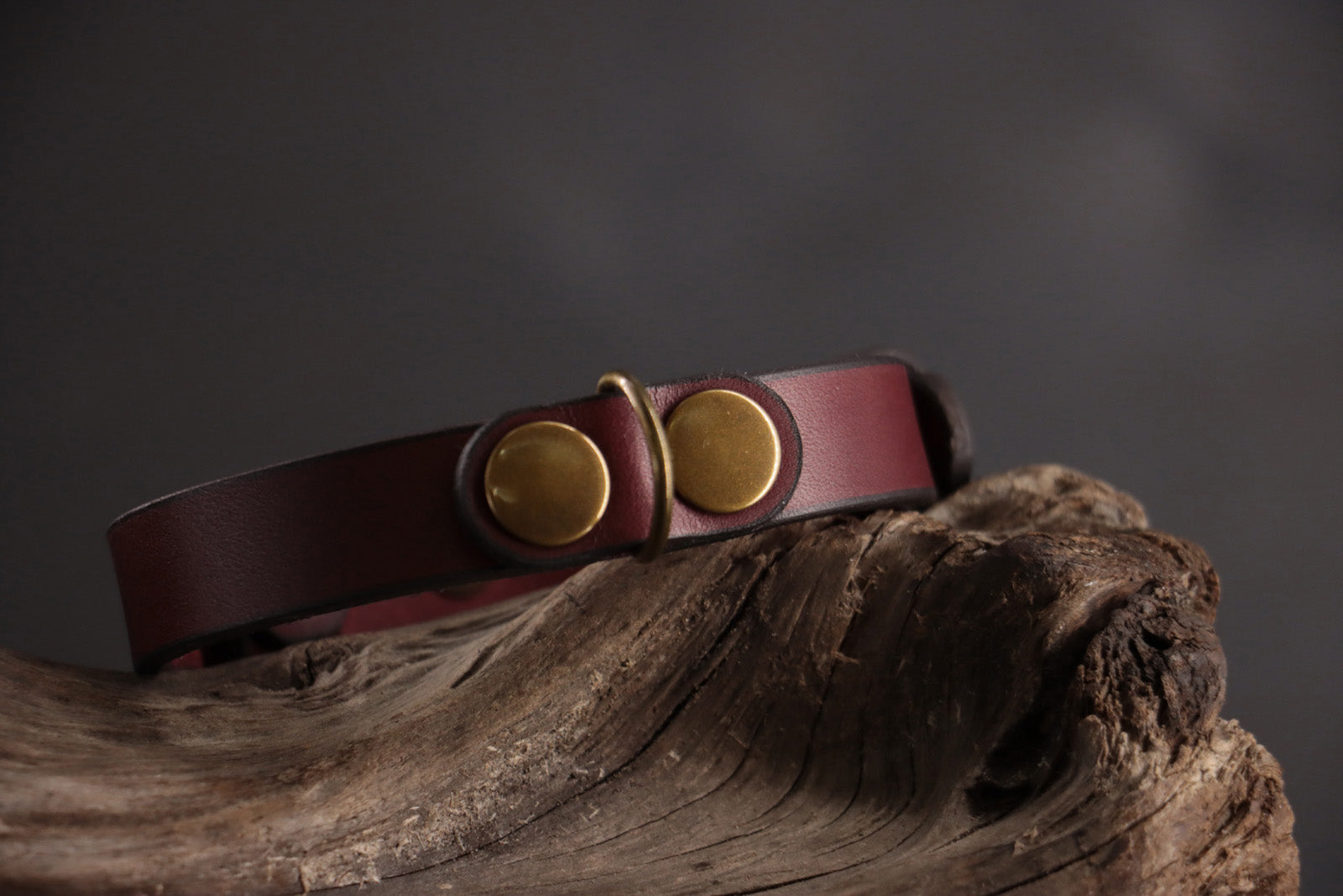 Oxblood leather ID charm with antique bronze hardware on matching leather collar.