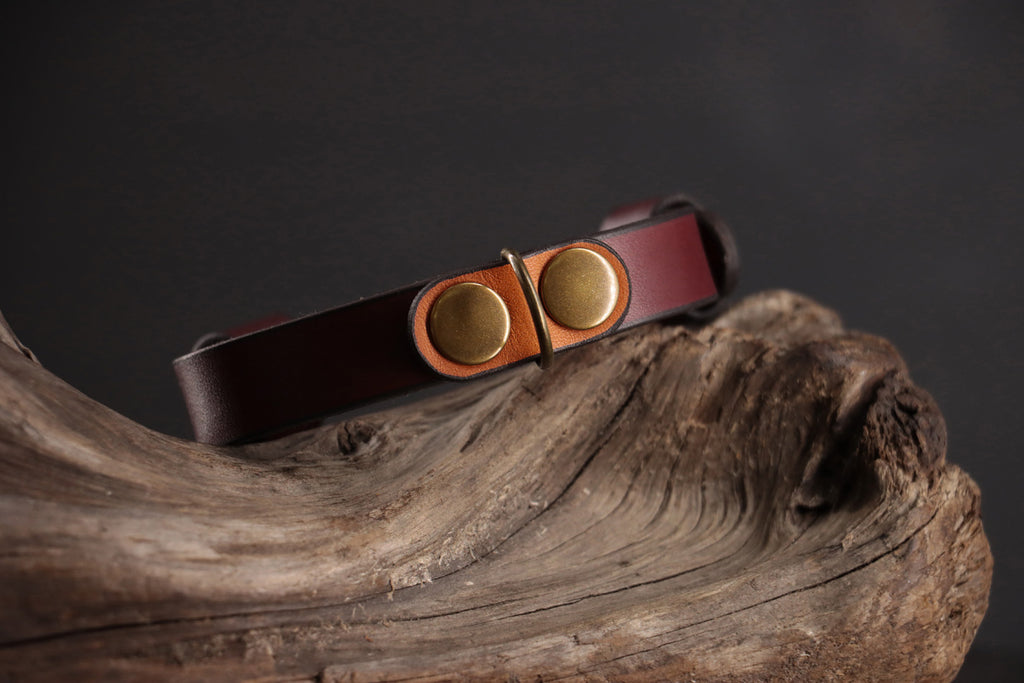 Cognac leather ID tag charm snapped onto oxblood leather collar.