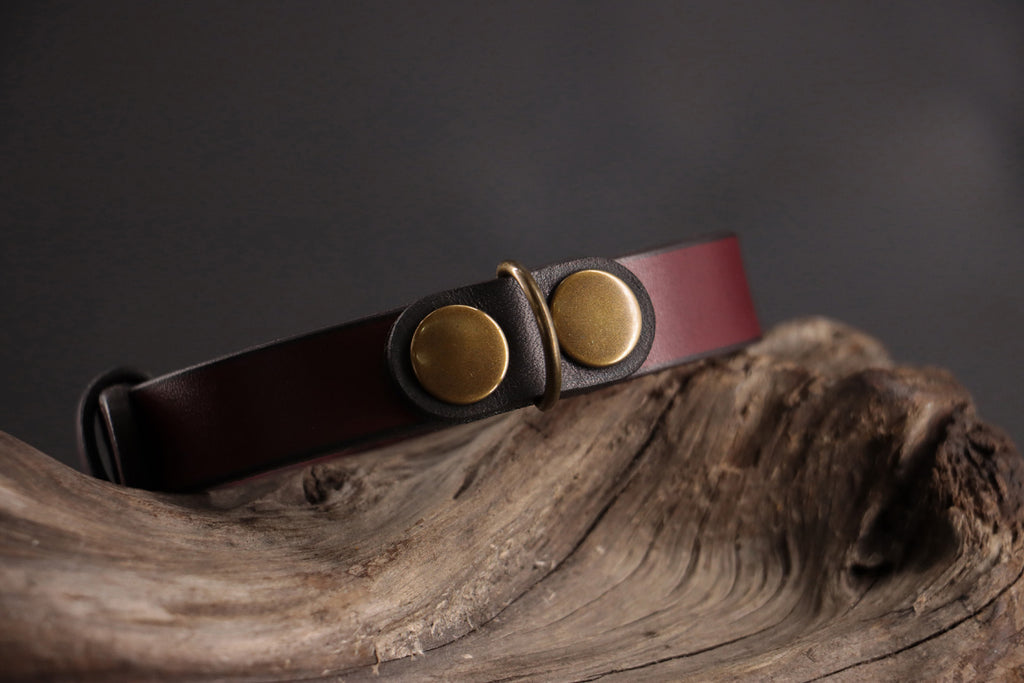 Black leather charm paired with oxblood leather collar and bronze D-ring.