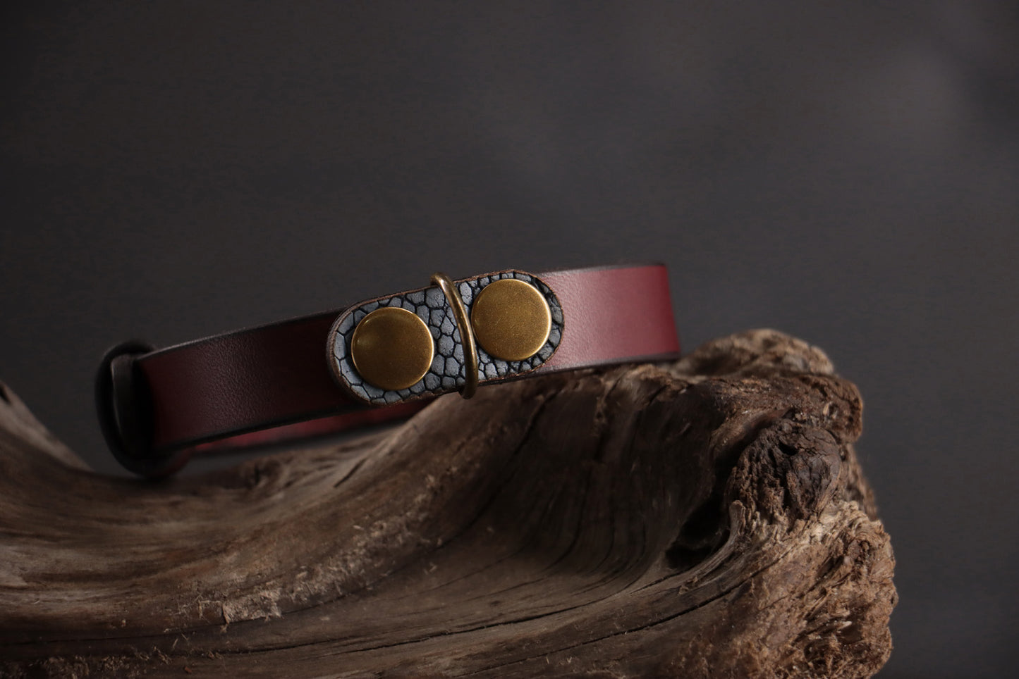 Blue ostrich cat ID tag charm snapped onto oxblood leather collar.