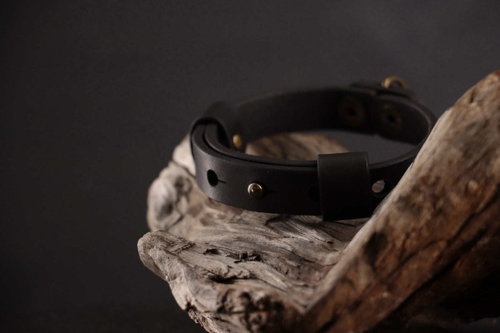 Profile of black leather collar showing all design elements.