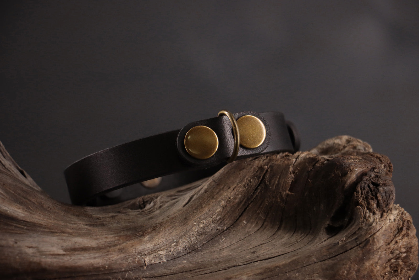 Black cat ID tag charm with antique bronze D-ring on black leather collar.