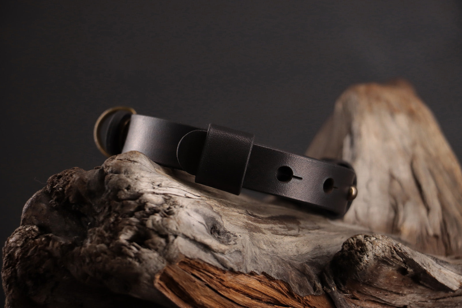 Profile of black leather collar showing all design elements.