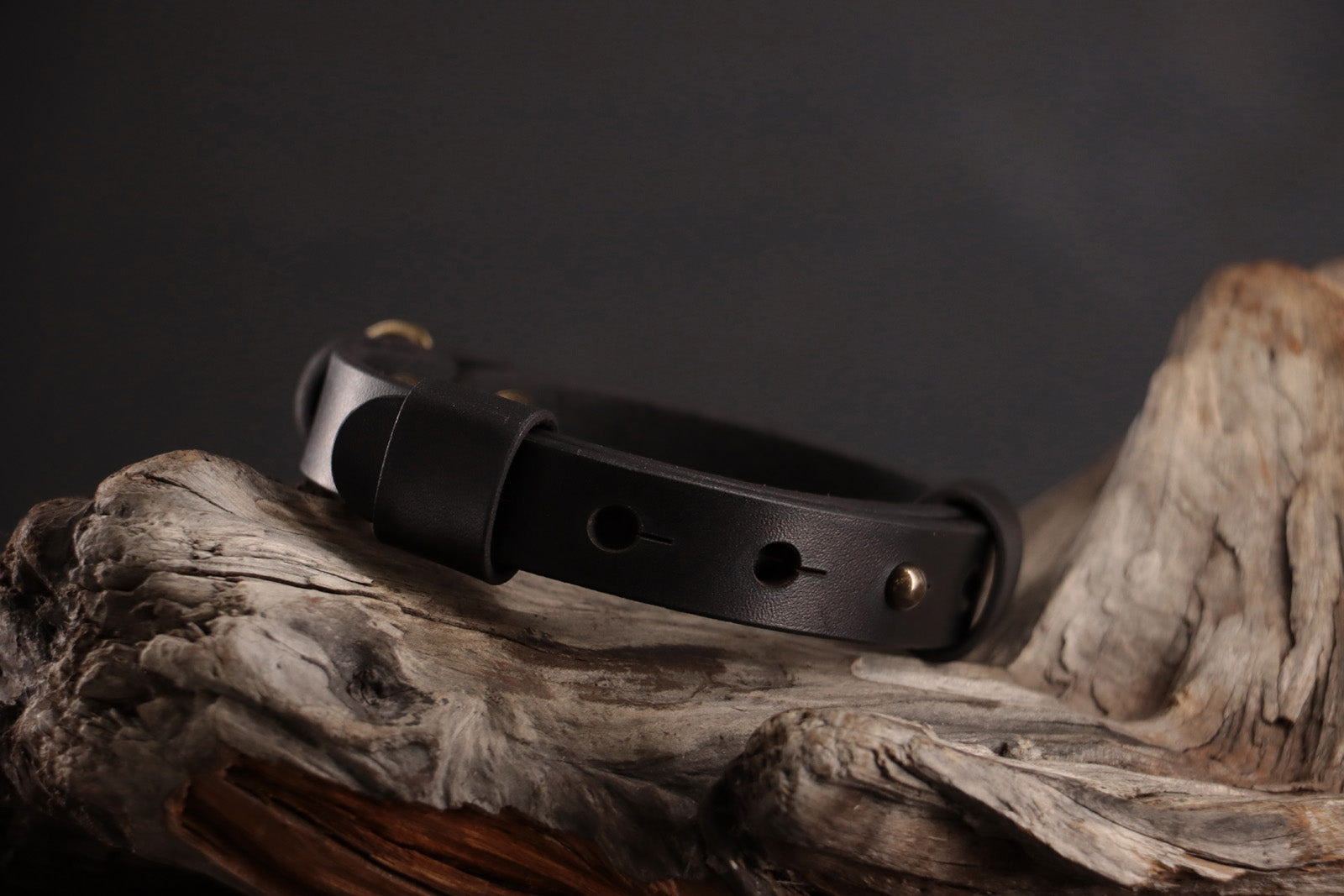 Back of black leather cat collar showing adjustable snap sizing system.