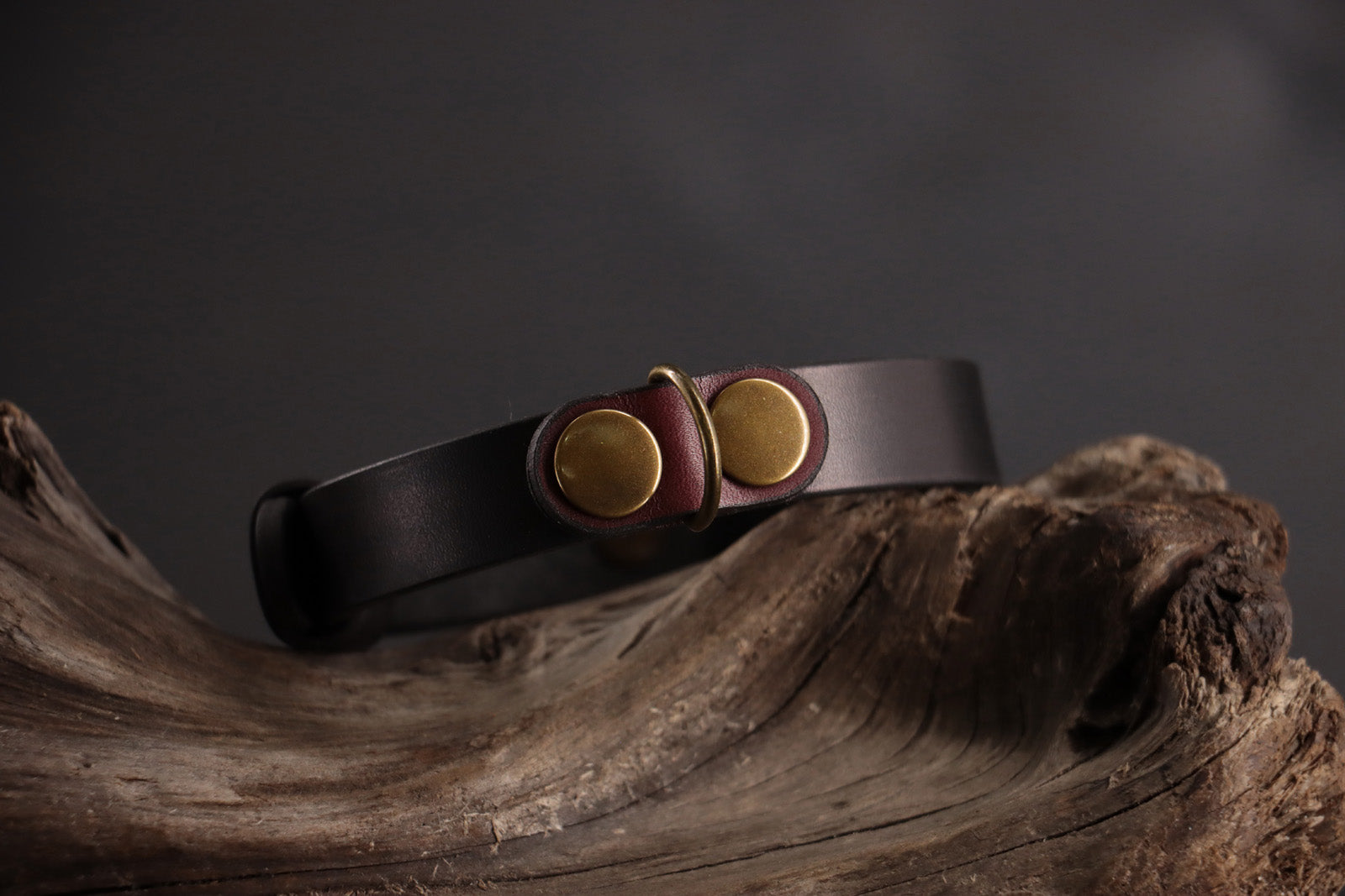 Oxblood leather cat ID charm on black leather collar with antique bronze D-ring.