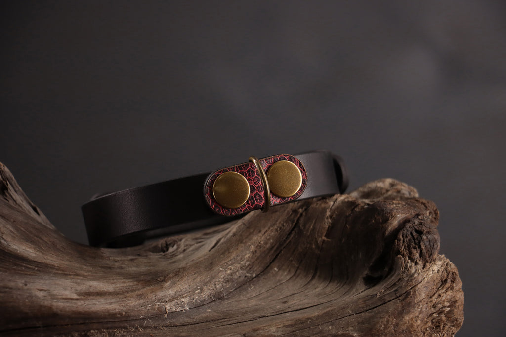 Red ostrich cat ID tag charm with bronze D-ring on black leather collar.