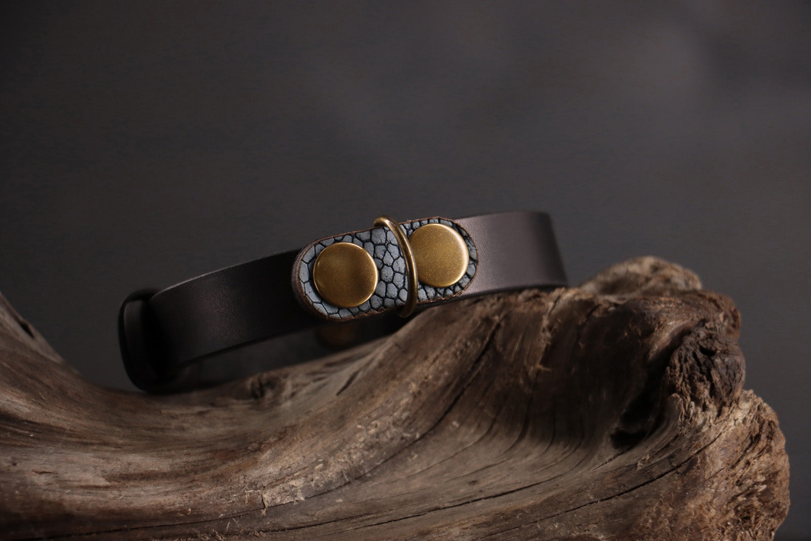 Blue ostrich leather charm with bronze D-ring on black leather collar.