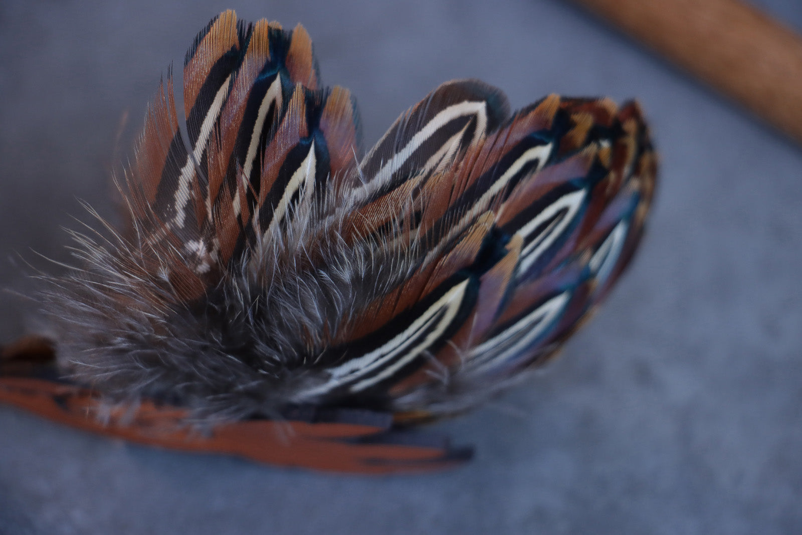 Feather Prey Attachment